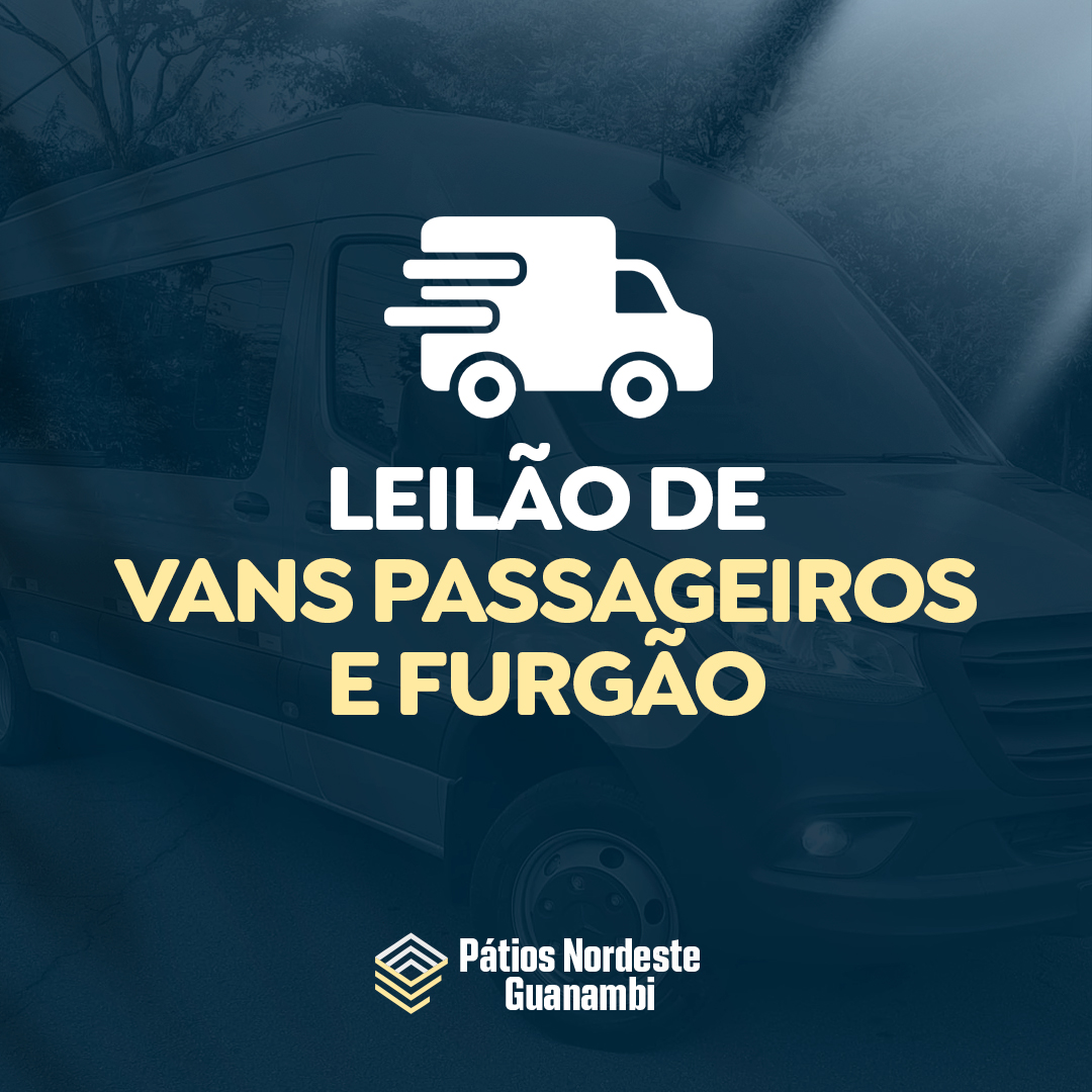 Lote de Vans (Furgão e Passageiros)