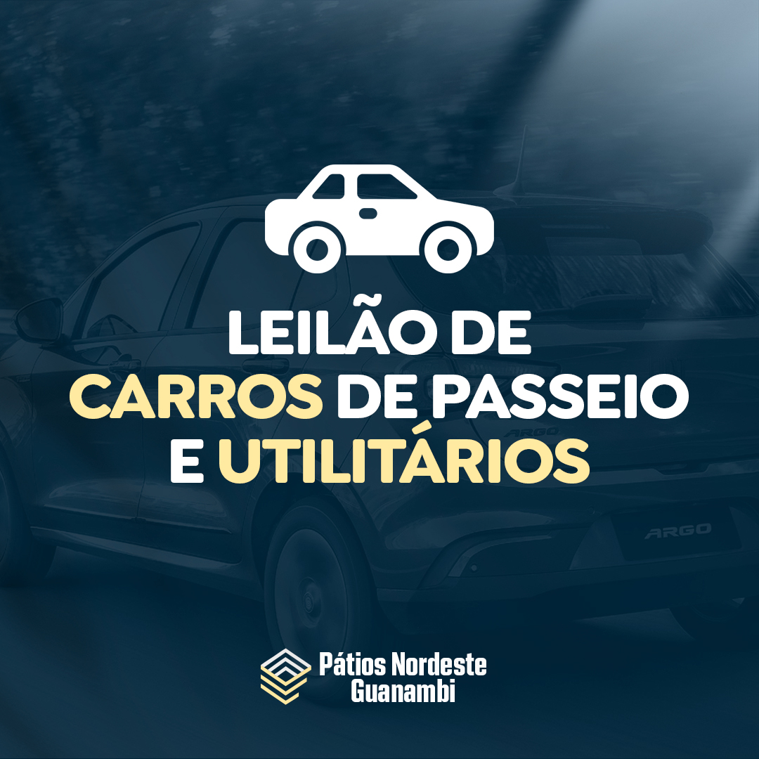 Lote de Carros (Passeios e Utilitários) 