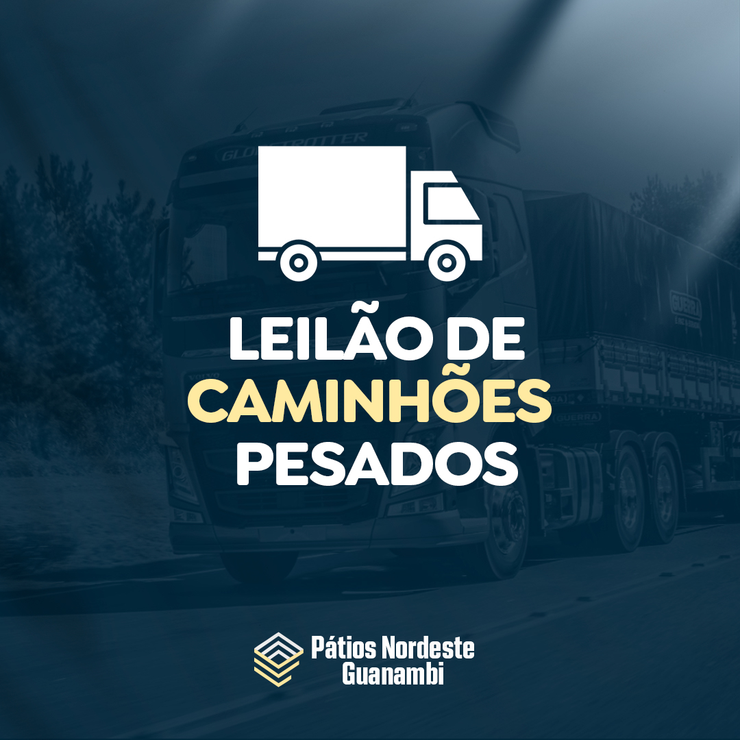 Lote de Caminhões (Pesados e Pequenos)